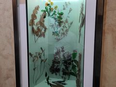 -广州神农草堂中医药博物馆