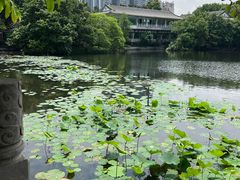 -荔湾湖公园
