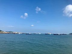 -枸杞岛