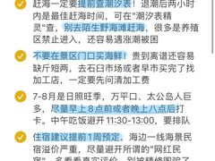 -日照海滨国家森林公园