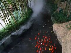 -竹吟山房