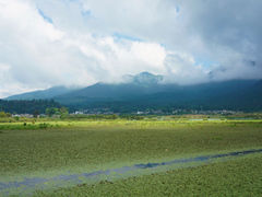-腾冲北海湿地