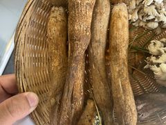 鸡纵-鲜菌江湖正宗野生菌火锅