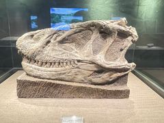 -自贡恐龙博物馆