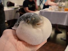 -肆月河豚·新淮扬(金融街店)