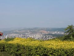 -原山国家森林公园