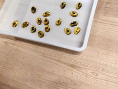 -上海昆虫博物馆