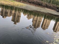 -前关湿地公园