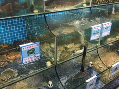 水产区-范饭椰林川湘味海鲜·椰子鸡(三亚湾椰梦长廊店)