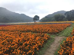 -广州市石门国家森林公园