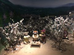 泰迪熊博物馆-成都泰迪熊博物馆