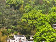 -新安江山水画廊风景区