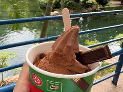 -九龙公园