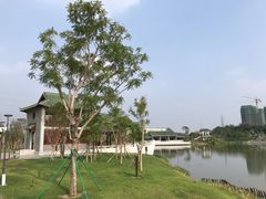 -王借岗森林公园