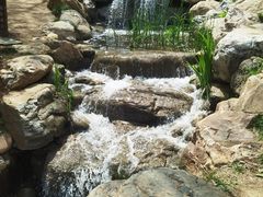 -大连植物园