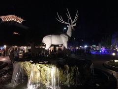 -清迈夜间动物园