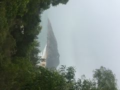 海龟湾基地-广东惠东海龟国家级自然保护区