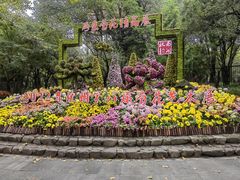 -杭州植物园