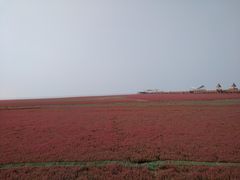 -红海滩国家风景廊道