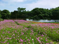 -白马涧龙池景区