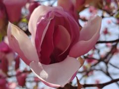 -北京西山国家森林公园