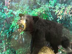 -国家自然博物馆