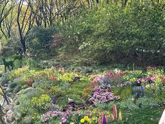 -上海共青森林公园