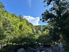 -石台牯牛降景区