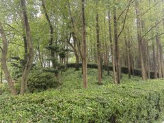 -大宁公园