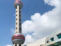 -上海海洋水族馆
