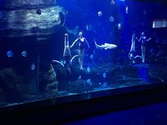 -多彩贵州城极地海洋世界