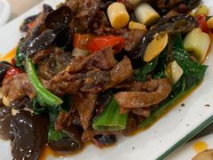 -灯盏窝饭店(新都分店)