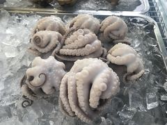 -铭聚章鱼土笋冻(松柏店)