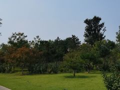 -张家湾公园