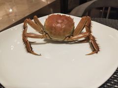 -青岛证大喜玛拉雅酒店·Z1餐厅