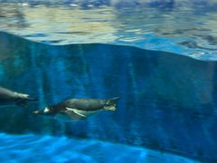 -华夏文旅西安度假区