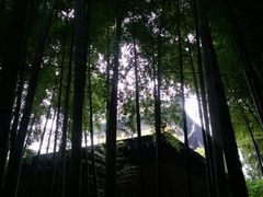 android_upload_pic-宝岩生态观光园