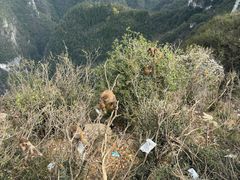 -重庆云阳龙缸景区