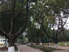 -天河儿童公园