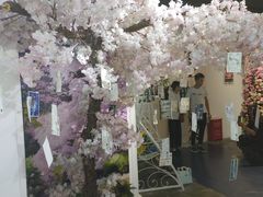 -上海外滩星空失恋减压馆(外滩旗舰馆)