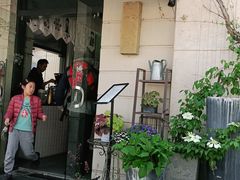 -吉丁鸟咖·异宠·寄养