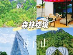 -南丹山森林王国