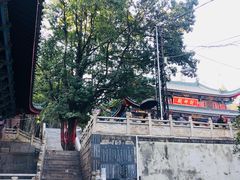 -盘龙寺