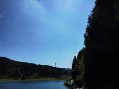 -武陵山森林公园