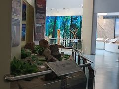 -延庆地质公园博物馆