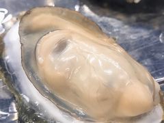 -蚝得喜海鲜(东城店)