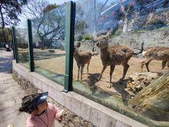 -温州动物园-北门售票处