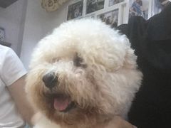 -严国平动物医院(德政总院)