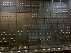 -北京周口店北京人遗址博物馆