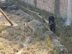 -南昌动物园